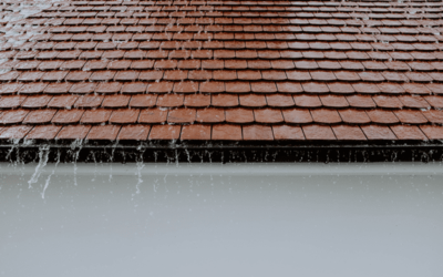 The Role of Drip Edges in Protecting Your Home