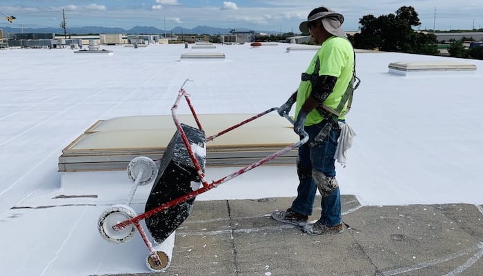 Roof Leak Detection